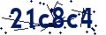 Código de seguridad