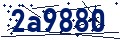 Código de seguridad