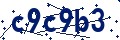 Código de seguridad