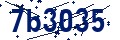 Código de seguridad