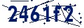 Código de seguridad
