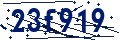 Código de seguridad
