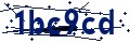 Código de seguridad