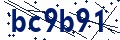 Código de seguridad