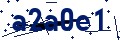 Código de seguridad