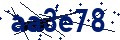 Código de seguridad