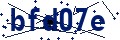 Código de seguridad