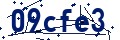 Código de seguridad