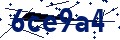Código de seguridad