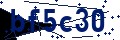 Código de seguridad