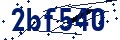 Código de seguridad