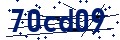 Código de seguridad
