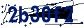 Código de seguridad