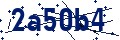 Código de seguridad