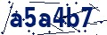 Código de seguridad