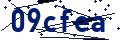 Código de seguridad