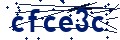 Código de seguridad