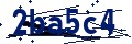 Código de seguridad