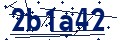 Código de seguridad