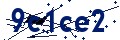 Código de seguridad