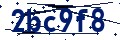 Código de seguridad