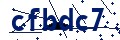 Código de seguridad