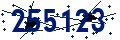 Código de seguridad