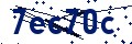 Código de seguridad