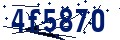 Código de seguridad
