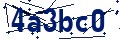 Código de seguridad