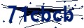 Código de seguridad