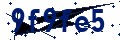 Código de seguridad