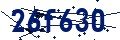 Código de seguridad