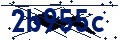 Código de seguridad
