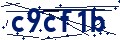 Código de seguridad