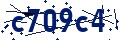 Código de seguridad
