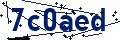 Código de seguridad