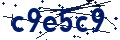 Código de seguridad