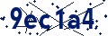 Código de seguridad