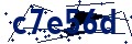Código de seguridad