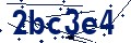 Código de seguridad