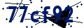 Código de seguridad