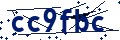 Código de seguridad