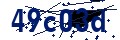Código de seguridad