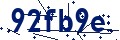 Código de seguridad