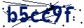 Código de seguridad