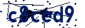 Código de seguridad