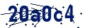 Código de seguridad