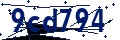 Código de seguridad