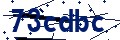 Código de seguridad